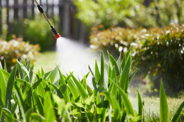 24/7 Emergency Cockroach Control experts in Wapakoneta, OH