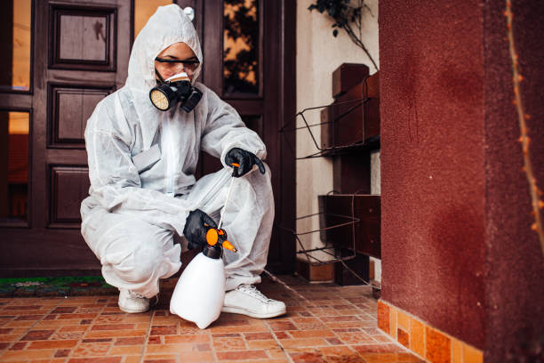 Reliable Cockroach Control contractor in Wapakoneta, OH by Nex Pest Control