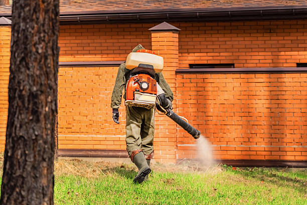Trusted Bed Bug Control service in Wapakoneta, OH - Nex Pest Control